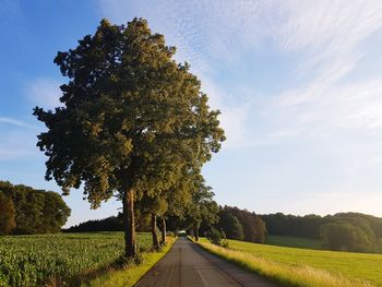 Road amidst trees on field against sky