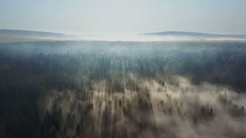 Panoramic shot of trees on landscape against sky