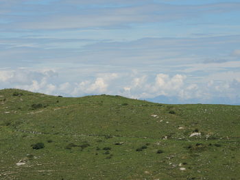 Scenic view of landscape against sky