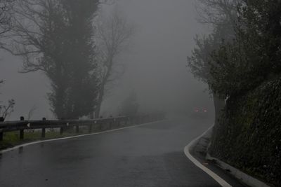 Empty road by trees against sky during winter