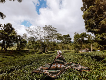 Tea garden in banywangi