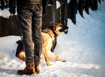 Low section of man with german shepherd on snow covered field