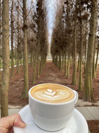 Coffee cup by trees in forest