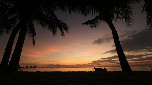 Silhouette palm trees on beach against sky during sunset