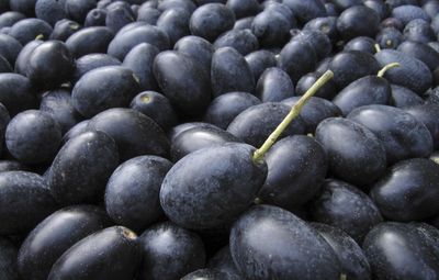 Full frame shot of blueberries