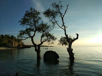 Silhouette tree by sea against sky during sunset