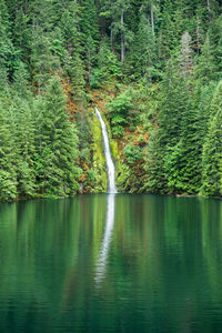 Scenic view of lake in forest
