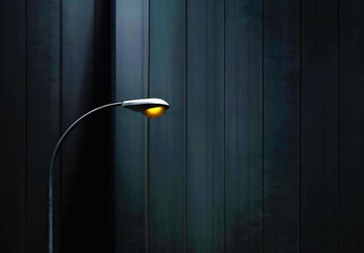 Close-up of yellow flower