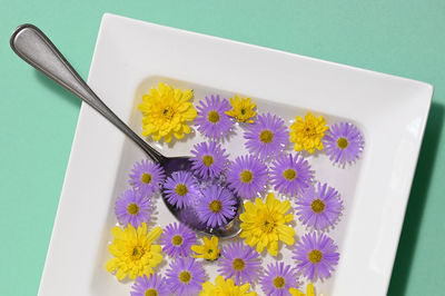 High angle view of purple flowering plant on table