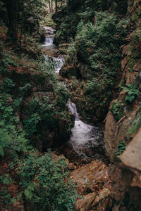 Stream flowing through rocks in forest