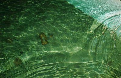 High angle view of water in pond