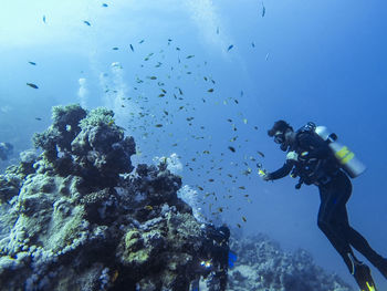 Low angle view of man swimming by fish in sea