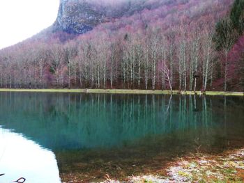 Scenic view of lake by trees against sky