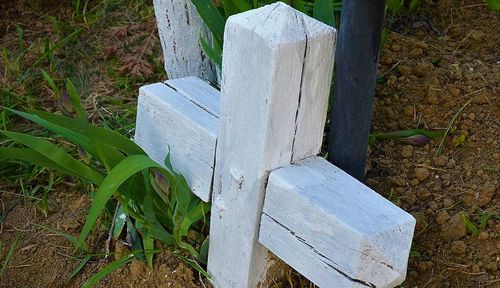 Close-up of wood