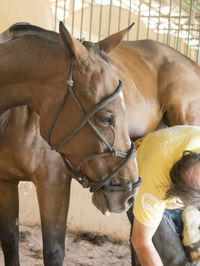 Midsection of person with horse in background