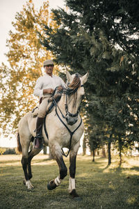 Horses on field