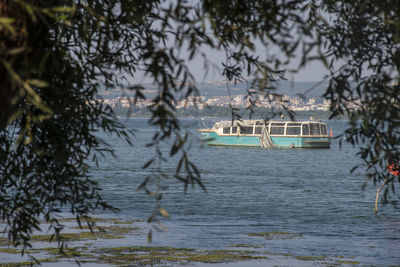 Sailboats in lake