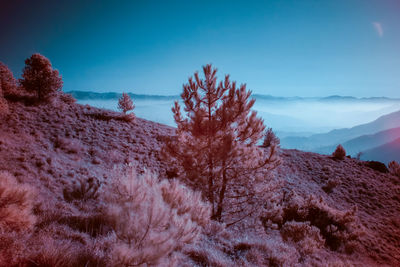 Scenic view of rocky mountains against blue sky