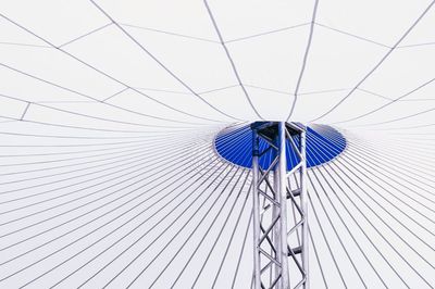 Close-up of tree against blue sky