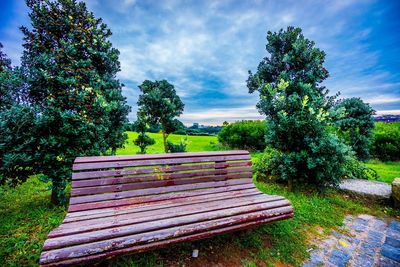 Empty bench on field