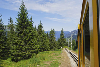 View of landscape seen from train in switzerland