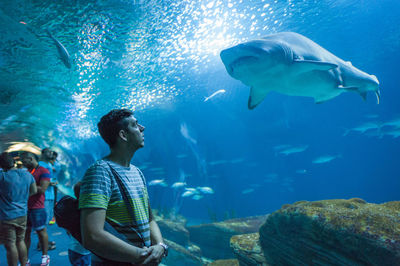 Man at aquarium