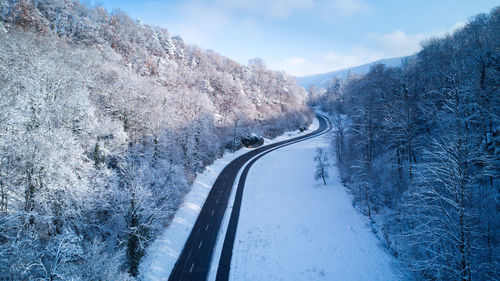 Road in snowy forest