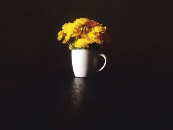 Close-up of flower over black background