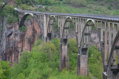 Arch bridge amidst trees and plants