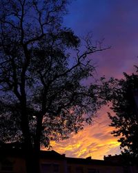 Low angle view of silhouette tree against sky at sunset