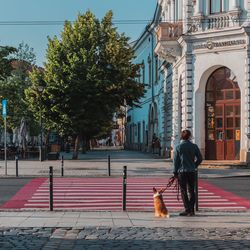 Man with dog walking on street in city