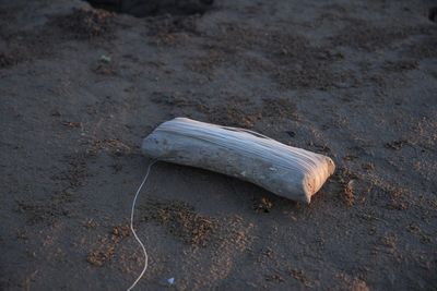 High angle view of bottle on sand