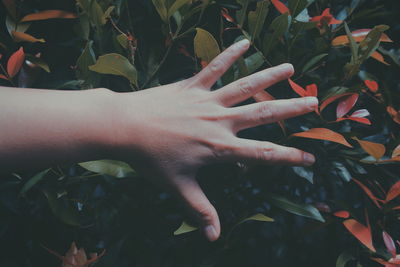 Close-up of hand outdoors