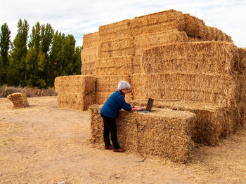 Full length of woman using laptop on hay bales