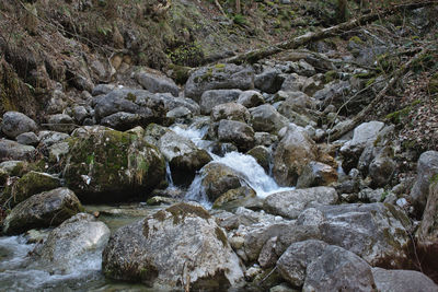 River flowing through rocks in forest