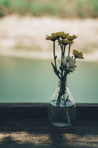 Close-up of flower vase on table