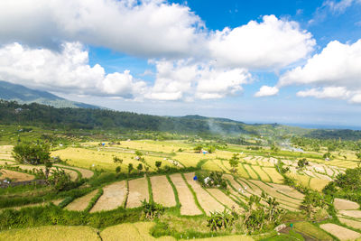 Scenic view of agricultural field against sky