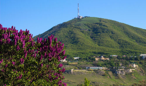 View of the majestic mount mashuk from pyatigorsk, caucasus,russia.