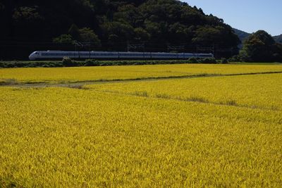 Limited express shirasagi running in front of mt. ibukiyama ,tokaido line ominagaoka - kashiwabara