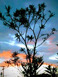 Silhouette palm trees against sky at sunset