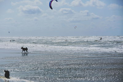 People flying over beach against sky