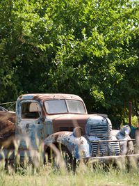 Abandoned car on field