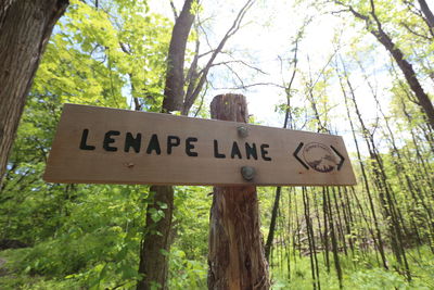 Low angle view of information sign on tree trunk in forest