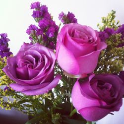 Close-up of purple flowers blooming outdoors