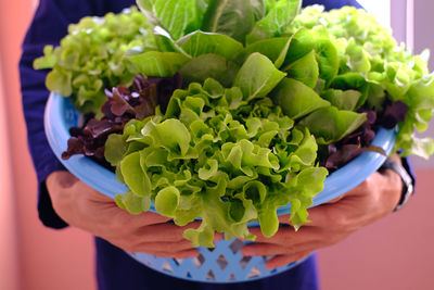 Close-up of woman holding vegetables