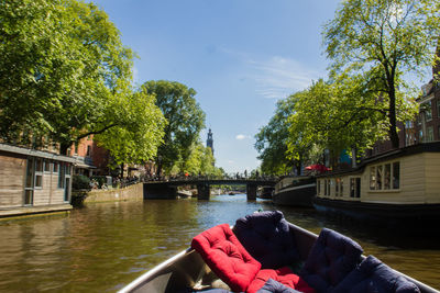 Trees by river against sky in city