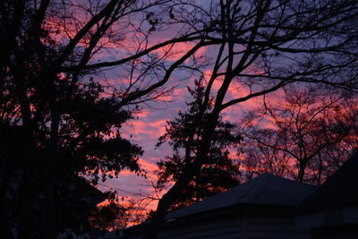 Silhouette trees against sky at sunset