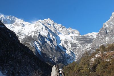 Trees on snowcapped mountain