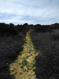 Footpath in field