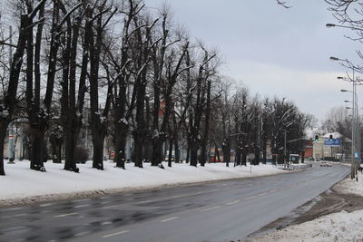 Snow covered trees against sky